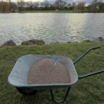 Première distribution de bonbons pour nos chers carpes🎣🎣🎣